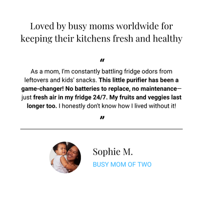 PUREBREEZE USB Rechargeable Portable Refrigerator Odor Remover & Air Purifier