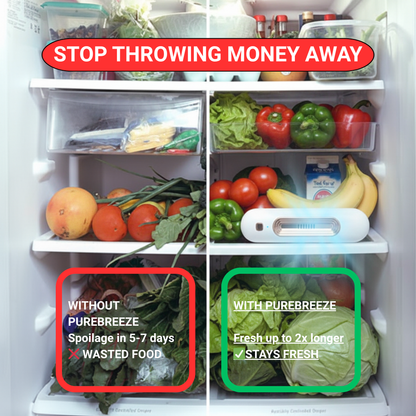 PUREBREEZE USB Rechargeable Portable Refrigerator Odor Remover & Air Purifier