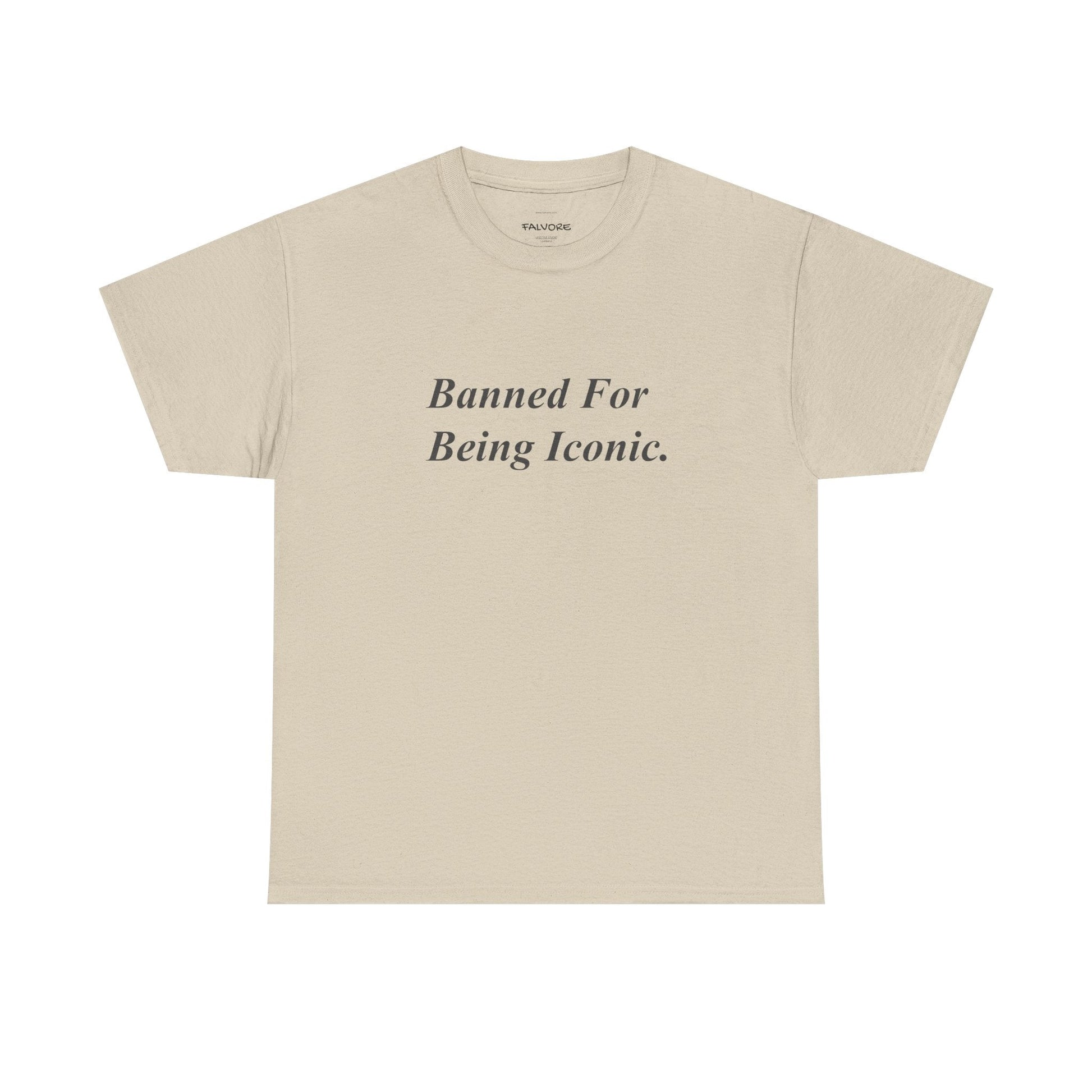 Banned For Being Iconic Graphic Tee – Minimal Quote Unisex T-Shirt - Falvore