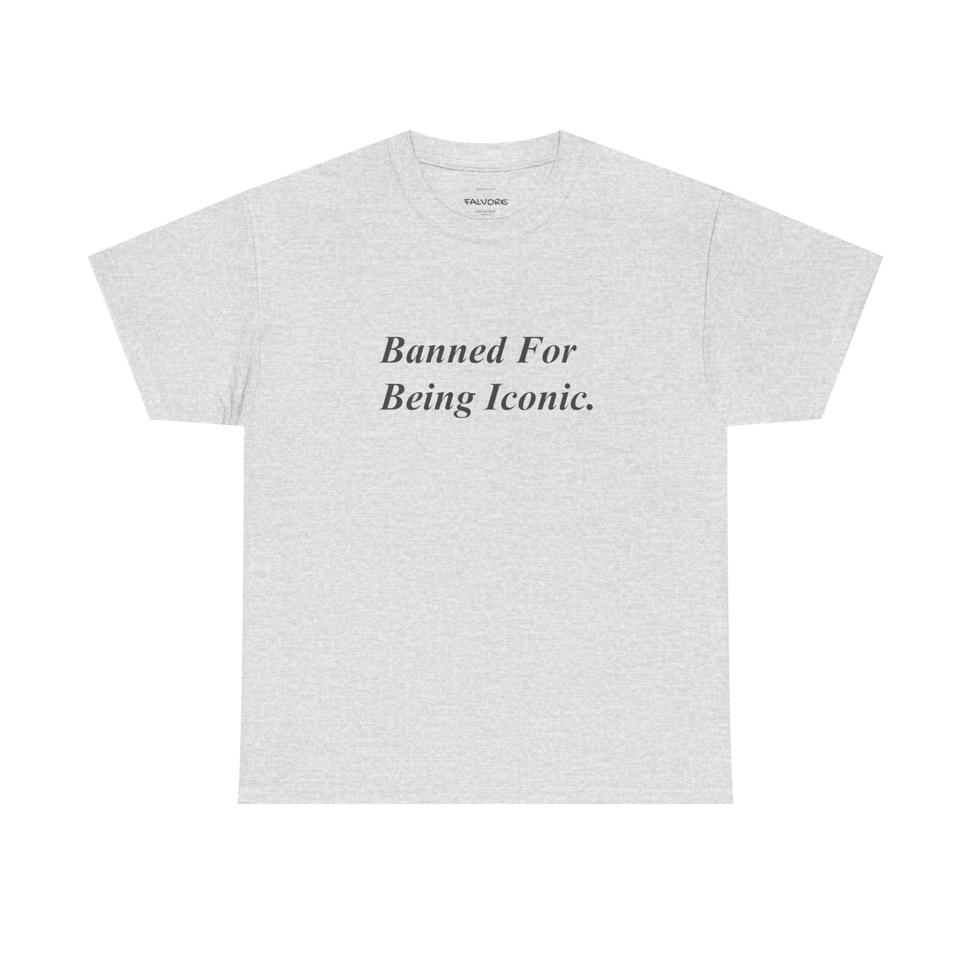 Banned For Being Iconic Graphic Tee – Minimal Quote Unisex T-Shirt - Falvore