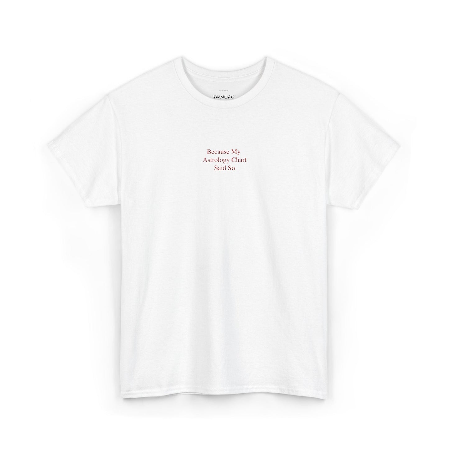 Because My Astrology Chart Said So Embroidered Tee – Minimal Astrology Quote Unisex T-Shirt - Falvore