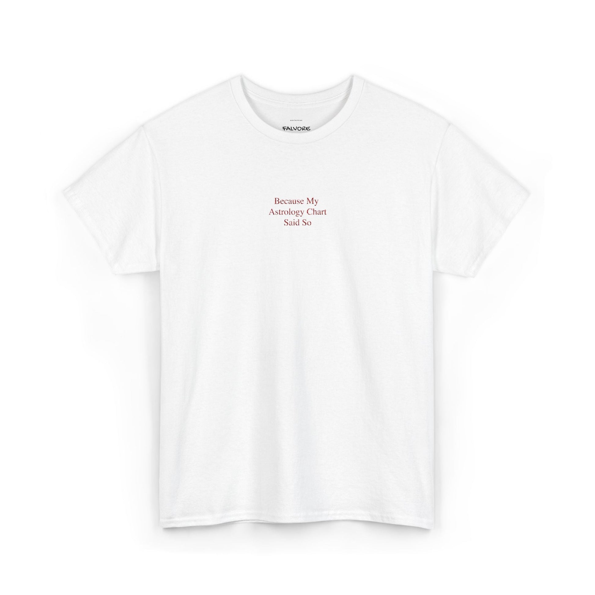 Because My Astrology Chart Said So Embroidered Tee – Minimal Astrology Quote Unisex T-Shirt - Falvore