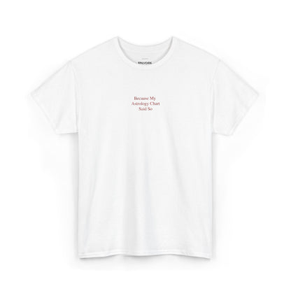Because My Astrology Chart Said So Embroidered Tee – Minimal Astrology Quote Unisex T-Shirt - Falvore
