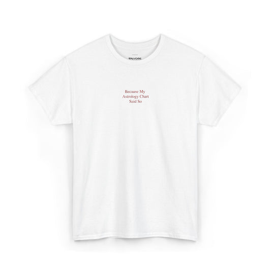 Because My Astrology Chart Said So Embroidered Tee – Minimal Astrology Quote Unisex T-Shirt - Falvore