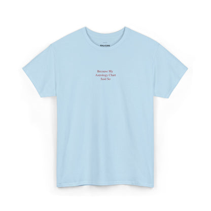 Because My Astrology Chart Said So Embroidered Tee – Minimal Astrology Quote Unisex T-Shirt - Falvore